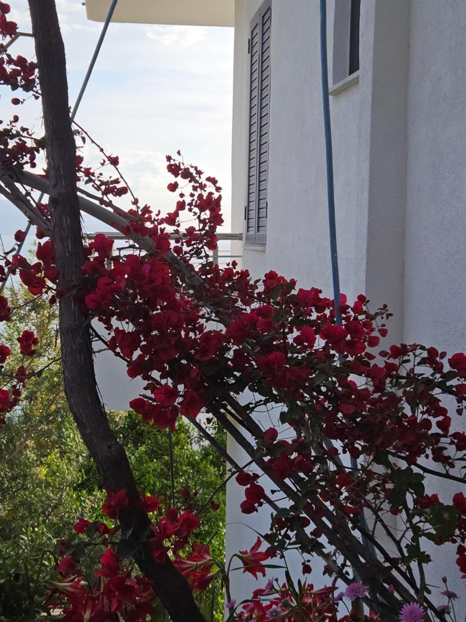 Nora'S Guesthouse Саранде Екстериор снимка