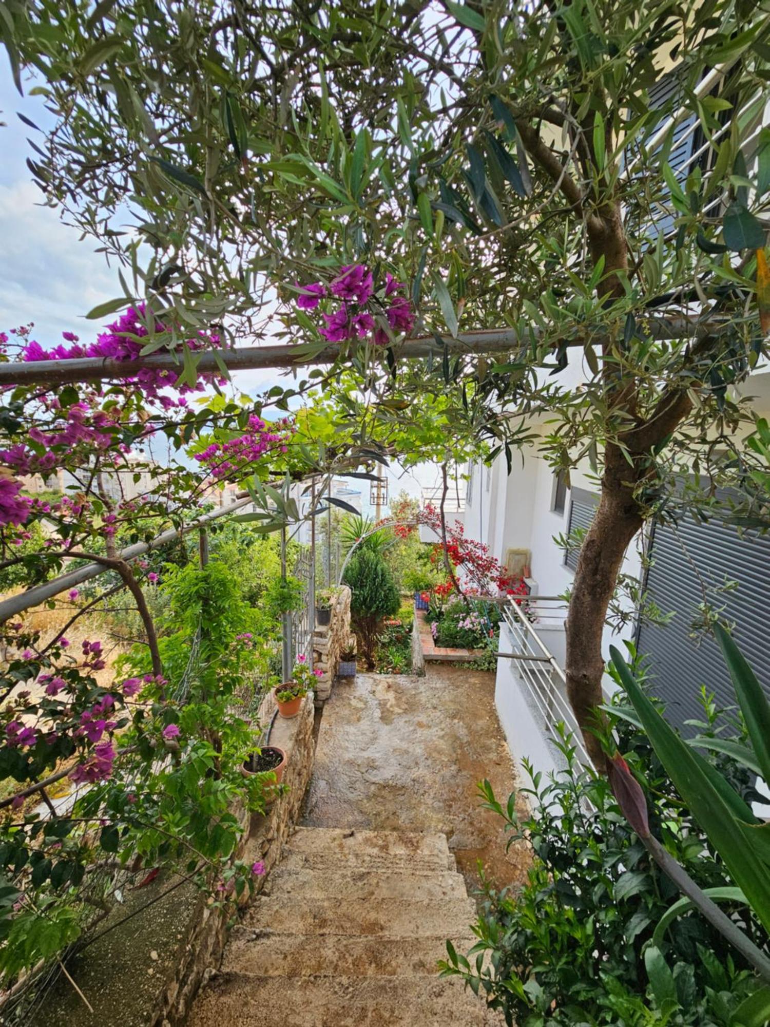 Nora'S Guesthouse Саранде Екстериор снимка